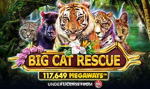 3633Big Cat Rescue Megaways Slot Game